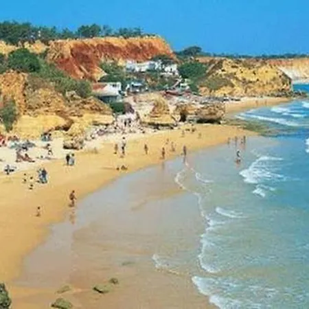 Appartement 1 350m Olhos De Agua, H